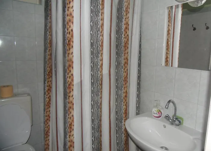 Hoforras Vip Apartmán