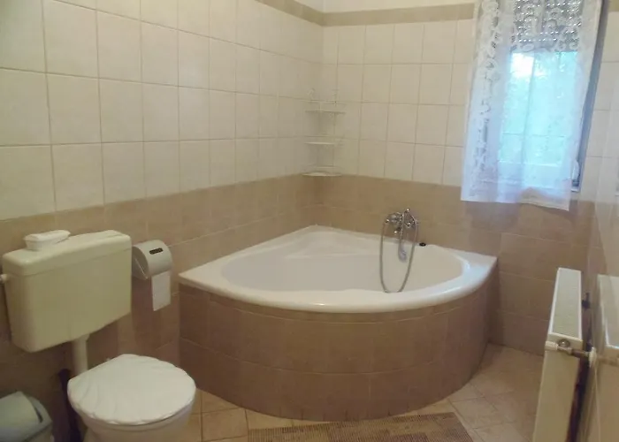 Hoforras Vip Apartmán